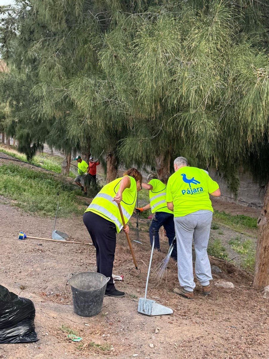aytopajara's tweet image. 🧹 Continúa con los trabajos de limpieza para la mejora de los jardines en el municipio.

📍 Las actuaciones se han desarrollado en los alrededores de la Iglesia, la subida del muelle y la plaza de Los Pescadores, en Morro Jable.

#Pájara #Limpieza #MorroJable