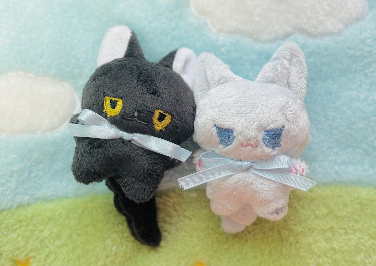 릴리피피🎀 tweet media