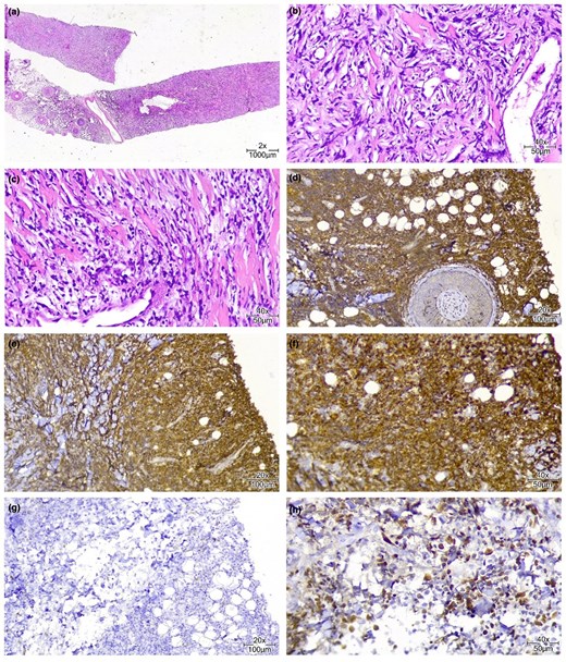 Skin Health and Disease tweet media