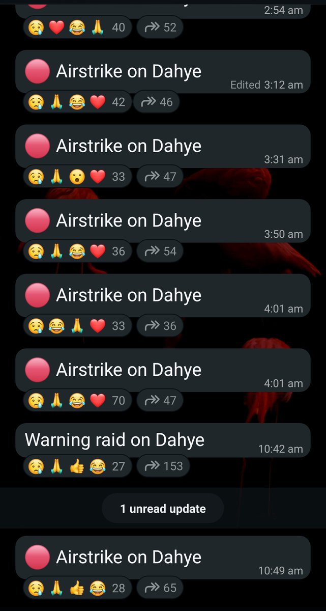 ┃𓏺 ۫ ׅ 𝐓𝐇𝐄 ᭪ 𝐃┈𝐎𝐂𝐓𝐎𝐑.᯽ ݁˖. tweet media