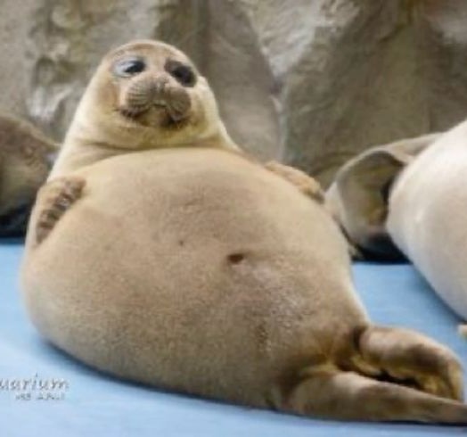 Cable_bun tweet media