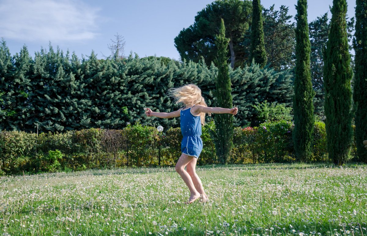 Safe Soil UK tweet media