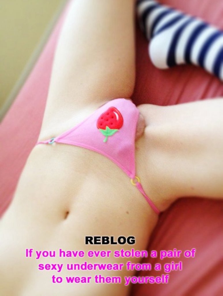 Feminization School For sissy training tweet media