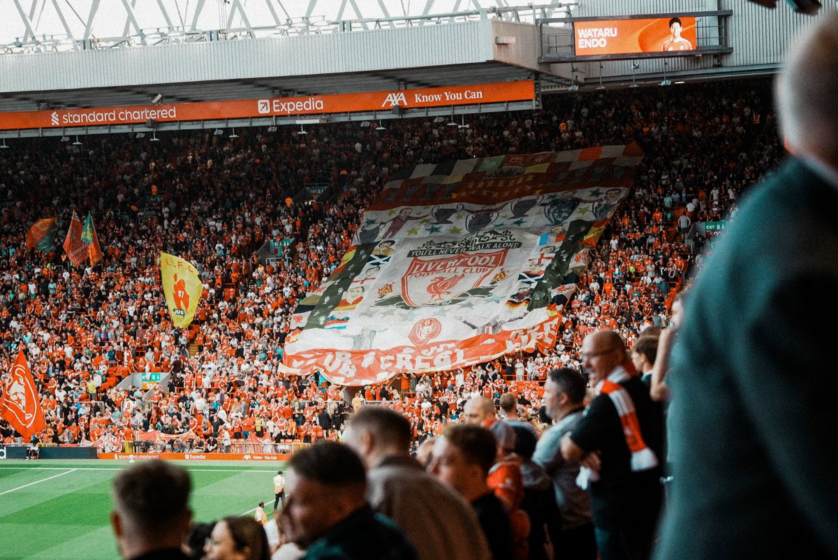 🎟️✈️🛏️ tweet media