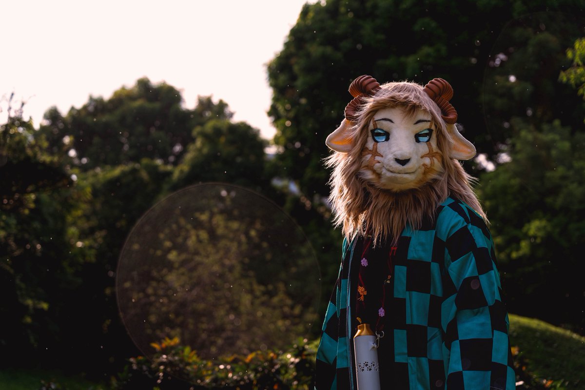 Oreo 🐏 🔜 🇯🇵 🔜 LIFC 🔜 IWAG tweet media