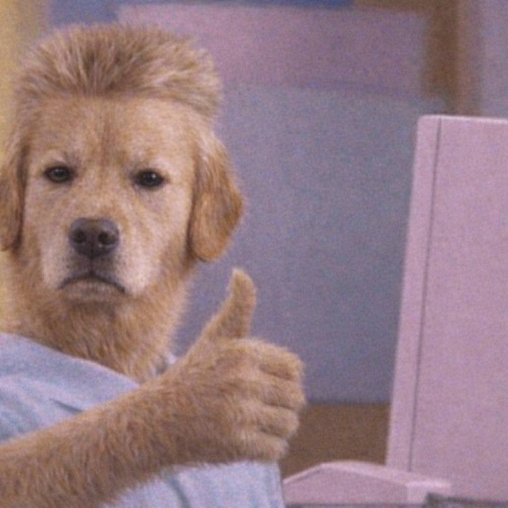 If farmers think they can come here for one day and spam our comm and get rewarded…

They must be dumb

When people have been here and contributing for weeks and not won it yet?

This daily reward is for OG comm members and we will eventually get round to everyone

Not randoms