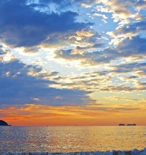 かおり🌙 tweet media