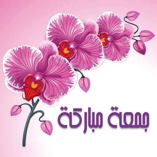Basmaa75950835's tweet photo. #جمعة_مباركة 💞 https://t.co/spcpdwzcMb