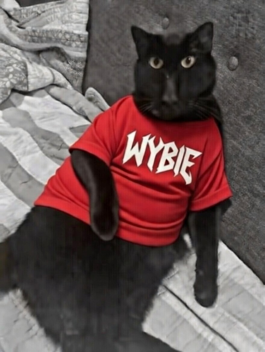 Crustaco_Loyalist ☄ tweet media