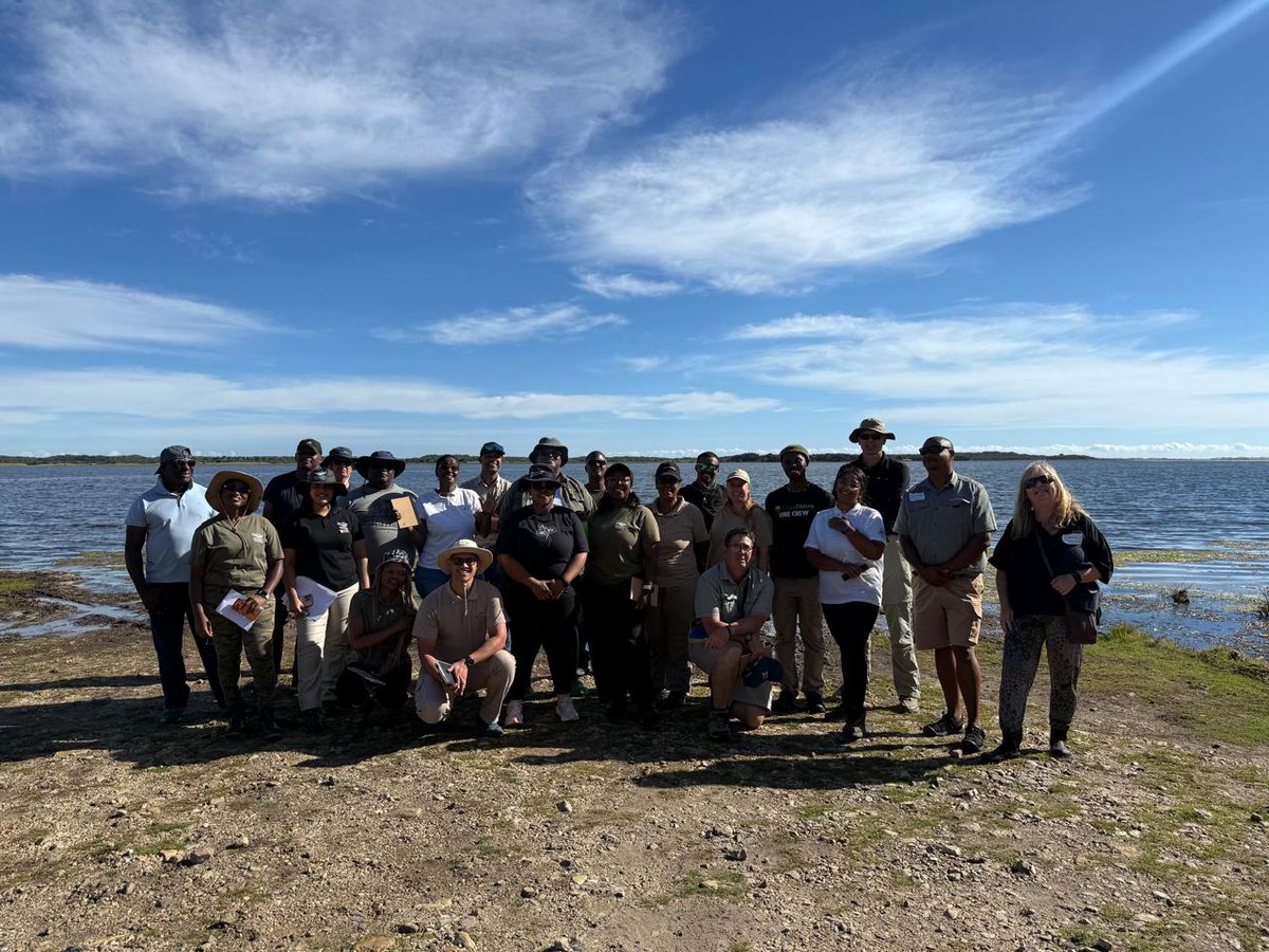 DSI/NRF SWE Research Chair tweet media