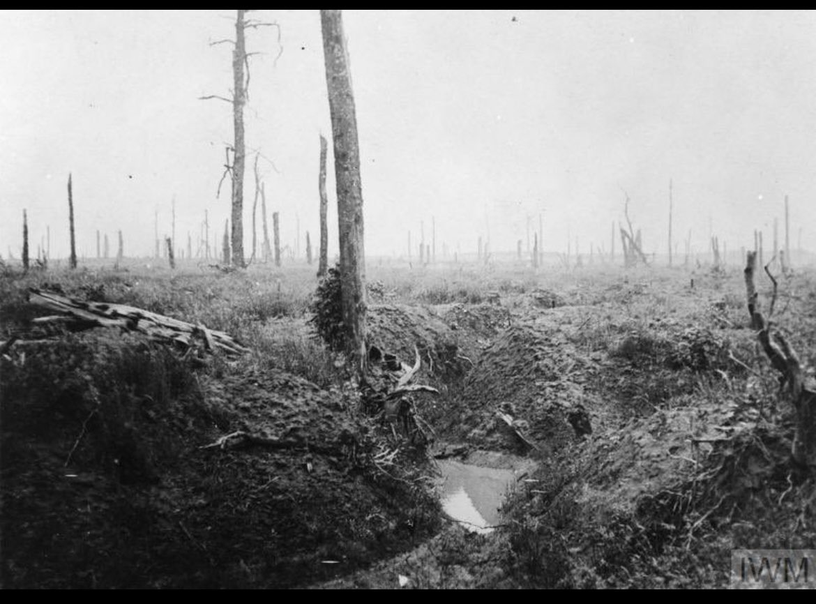 Keith Bugden tweet media