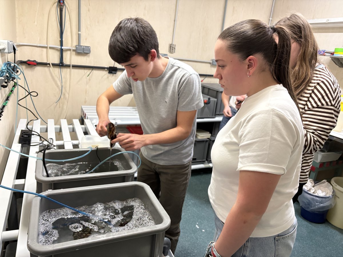 Instituto de Investigacións Mariñas - CSIC tweet media