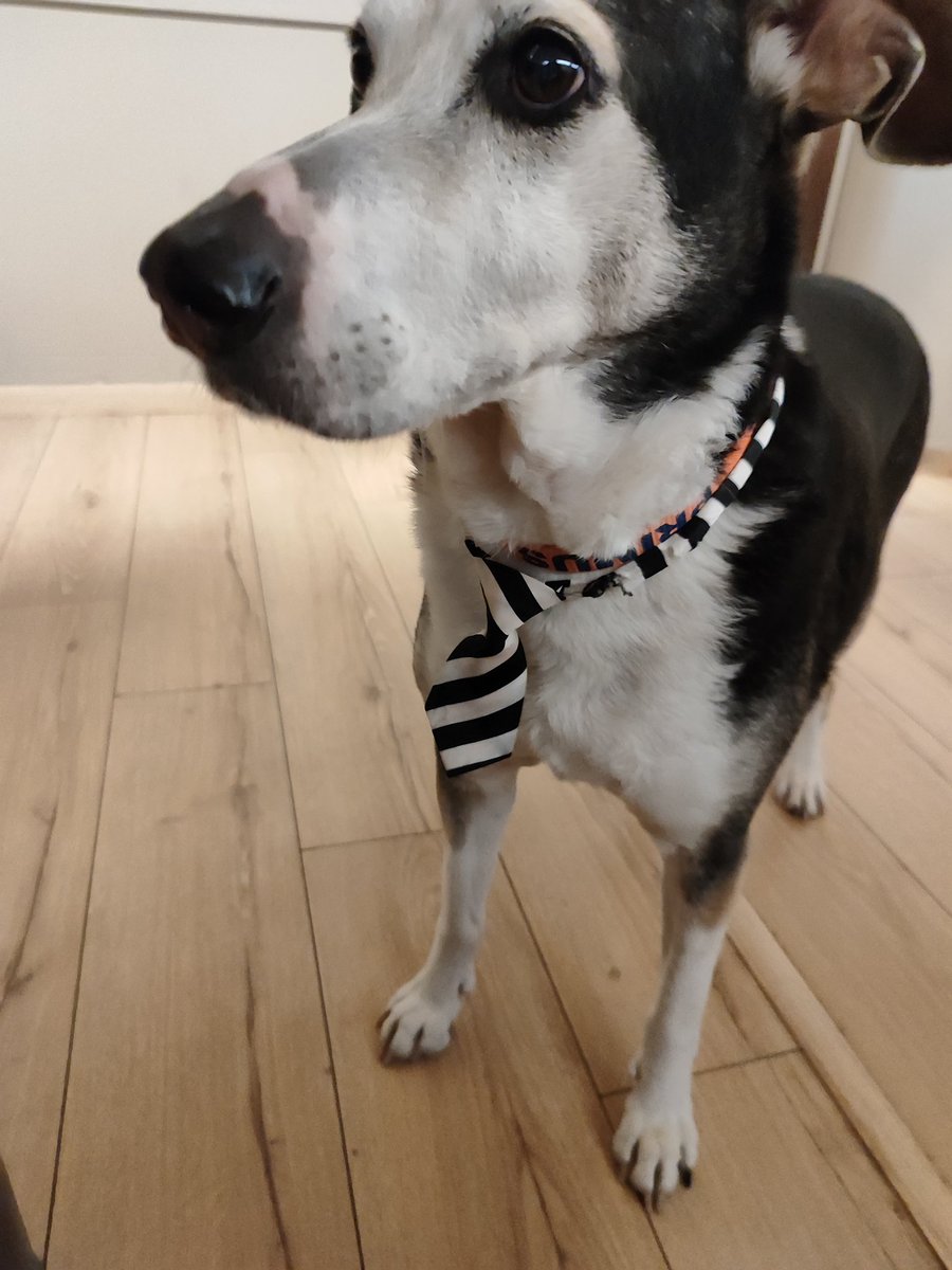 Γκαθ tweet media