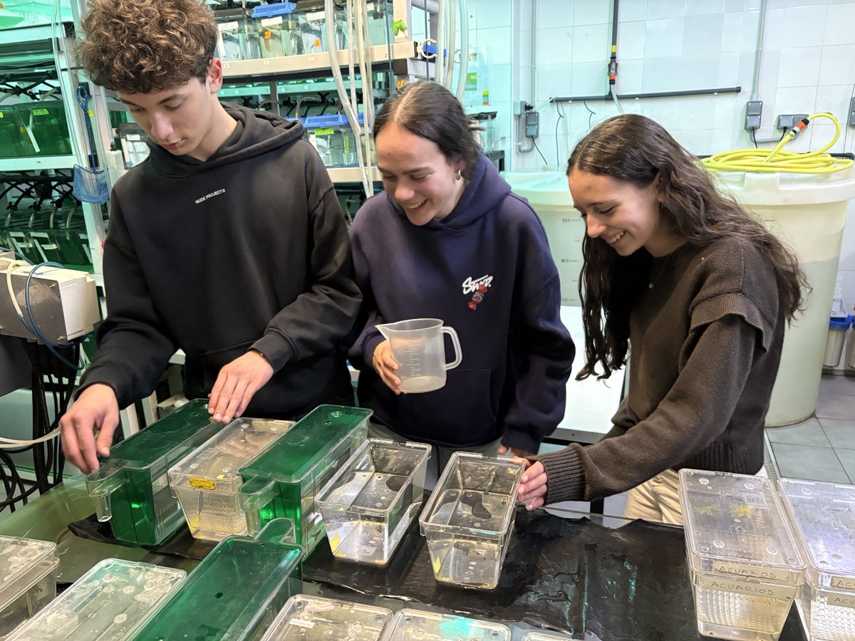 Instituto de Investigacións Mariñas - CSIC tweet media