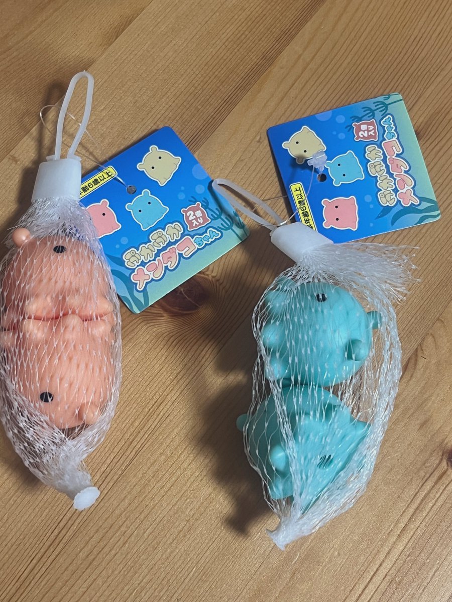 旅するめんだこ (@with_mendako) / Posts / X