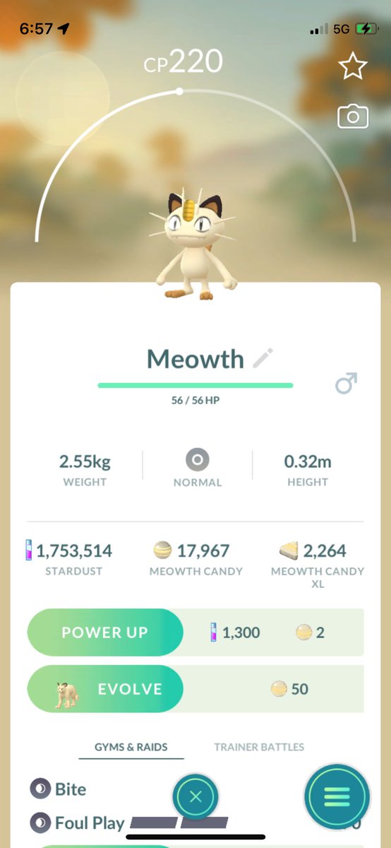 JohnPatrick_101's tweet image. #Meowth #NormalTypePokemon #PokemonGoAustralia #PokemonGo #CombatPower #MeowthCP220 #PokemonGoApp #Pokemon @PokemonGoNews