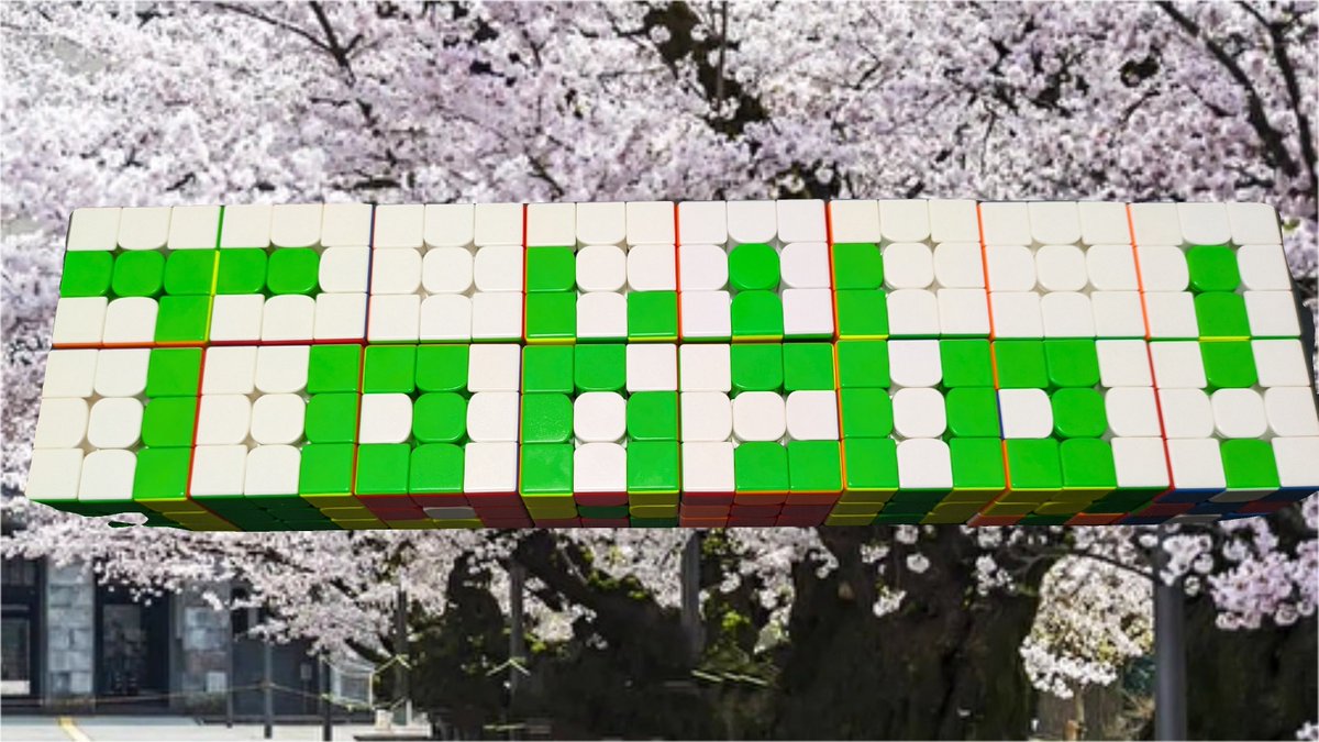 cu_tech's tweet photo. #春から科学大 の皆さま、合格おめでとうございます！🌸

東京科学大学ルービックキューブサークル「Cutech」です！

触ったことがない方から6面揃えられる猛者まで大歓迎！

4月から新歓を行うので是非遊びにきてください！ https://t.co/Q0uNdDmkGB