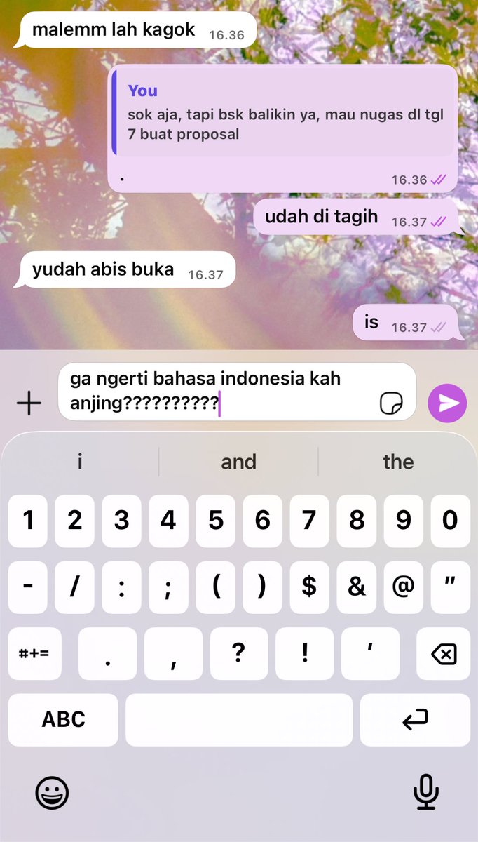 mpruy🌷 tweet media