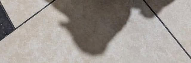 Please wait at your home. 🤣