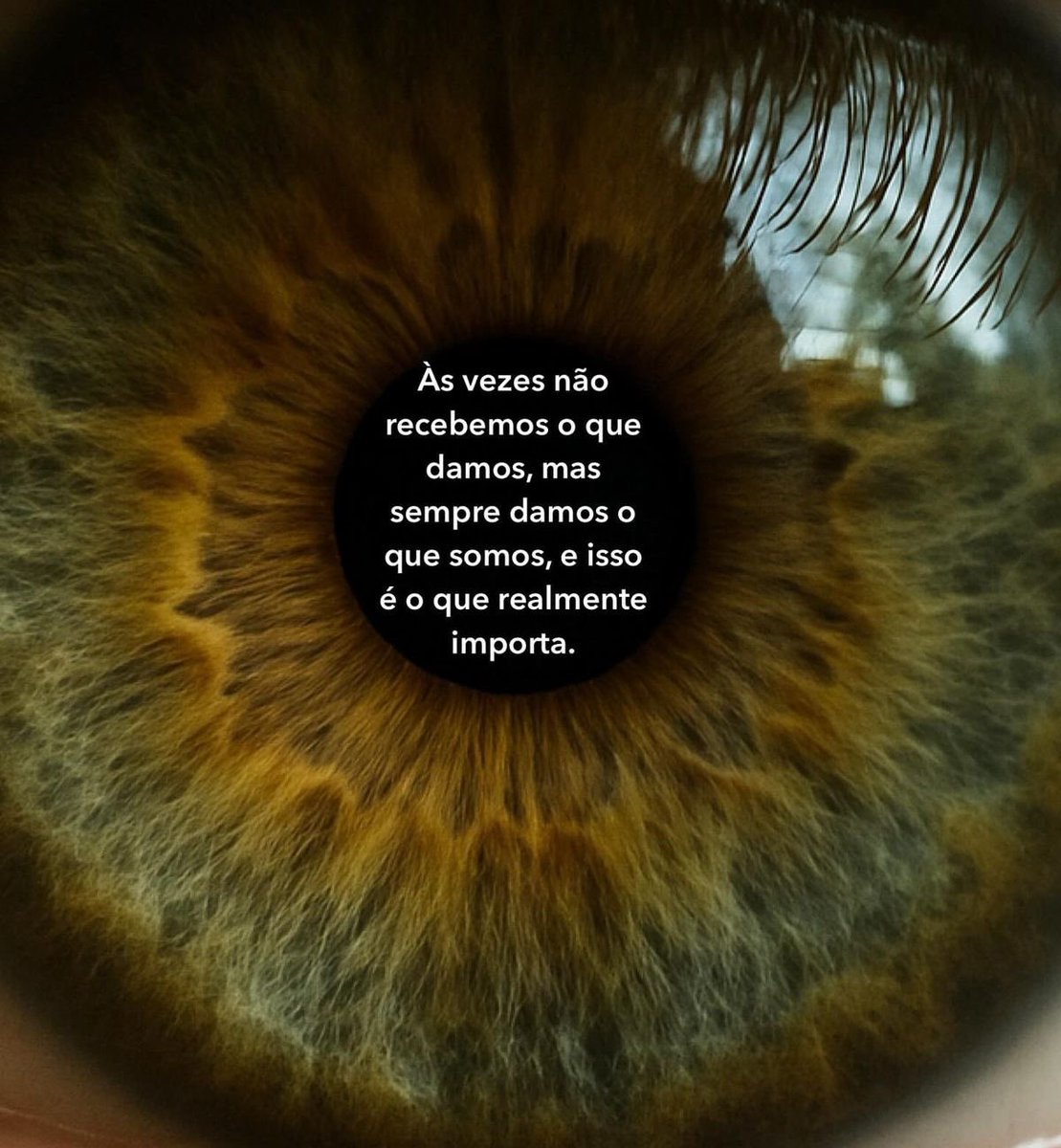 365 versos tweet media