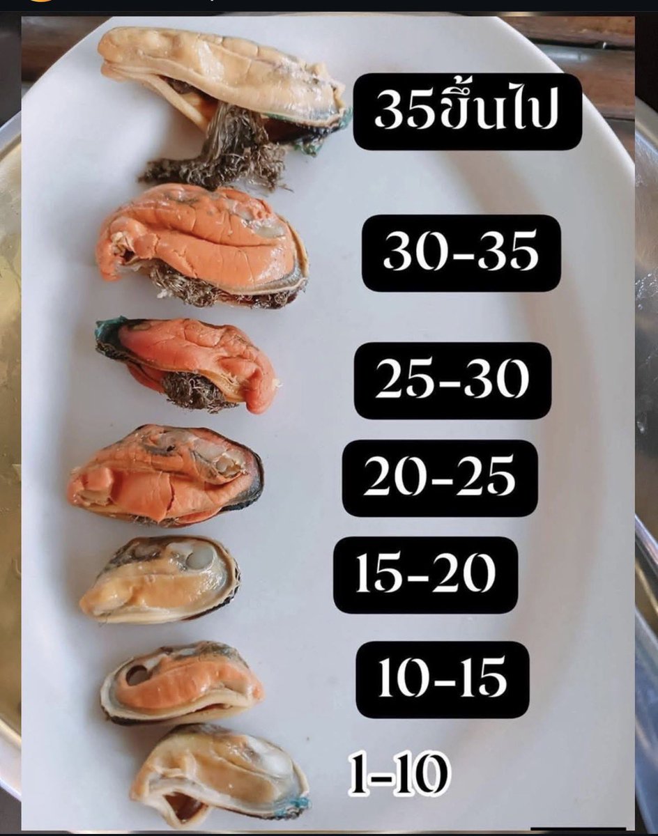 กายหยาบ😋 tweet media