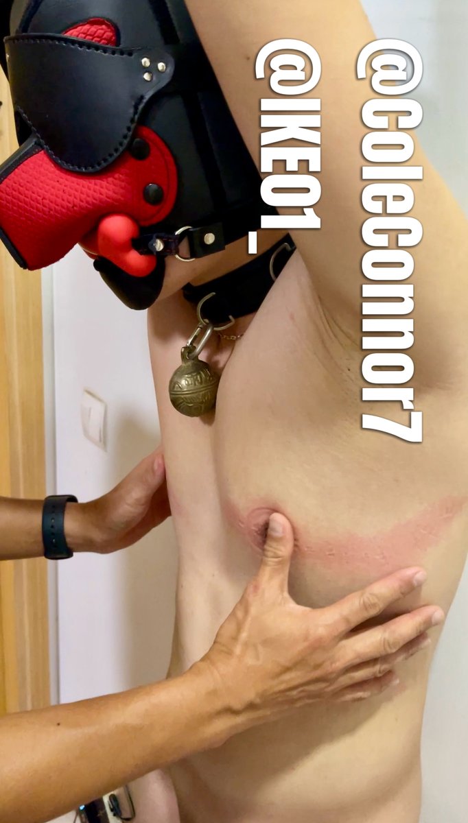 Cole Connor tweet media