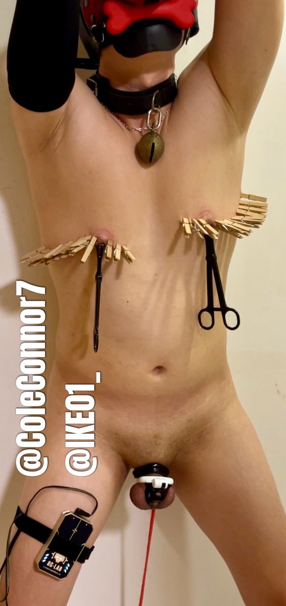 Cole Connor tweet media