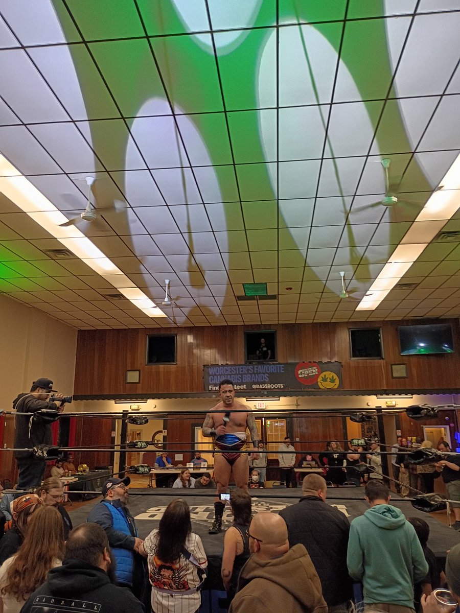 wallet inspector (REAL) tweet media