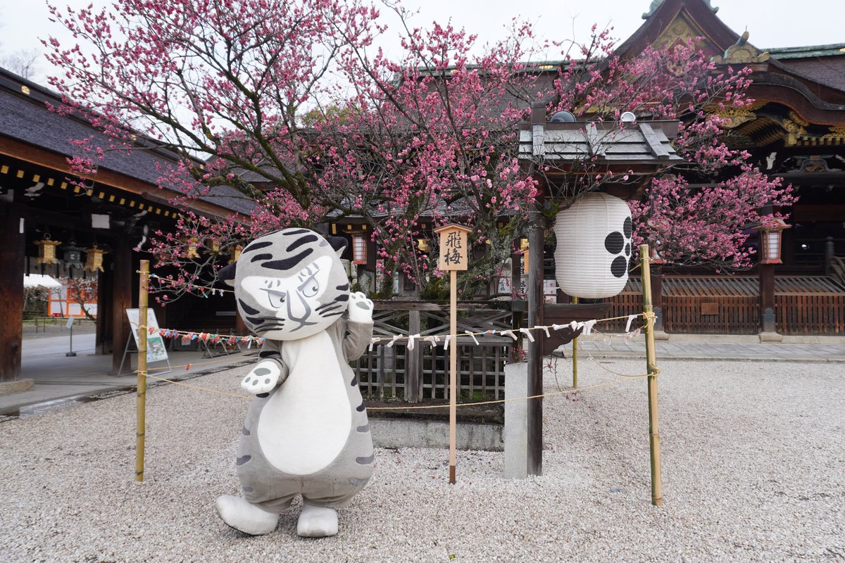 京都国立博物館 トラりん tweet media