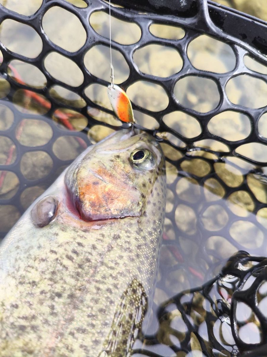 Shingo Matsui tweet media