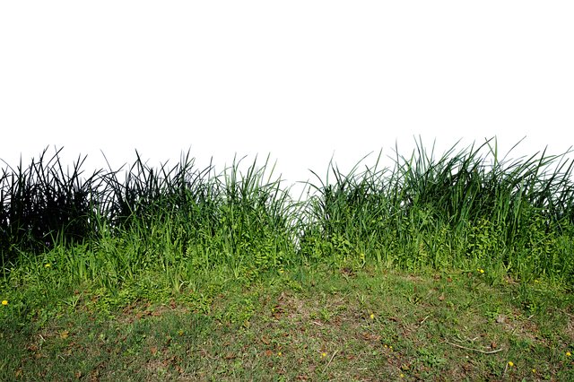 John Huff tweet media