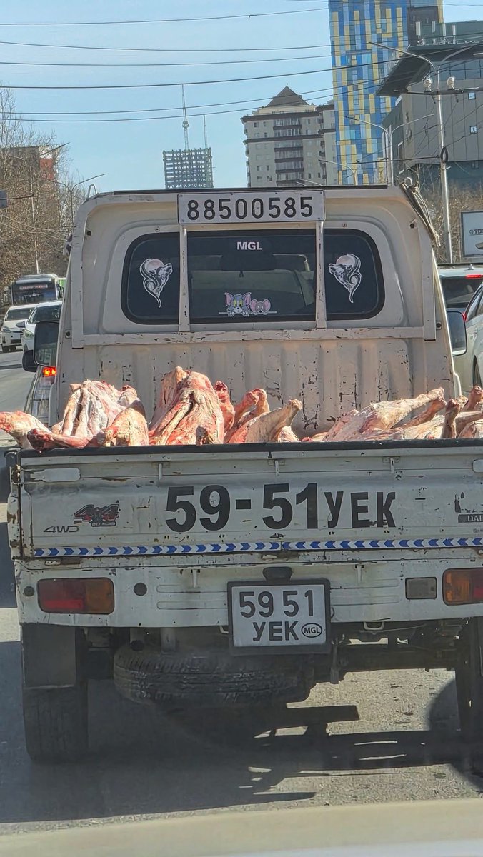 ТӨМӨР ХҮН©️ tweet media