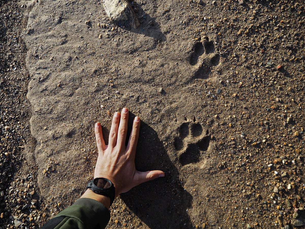 Jose Ruiz tweet media