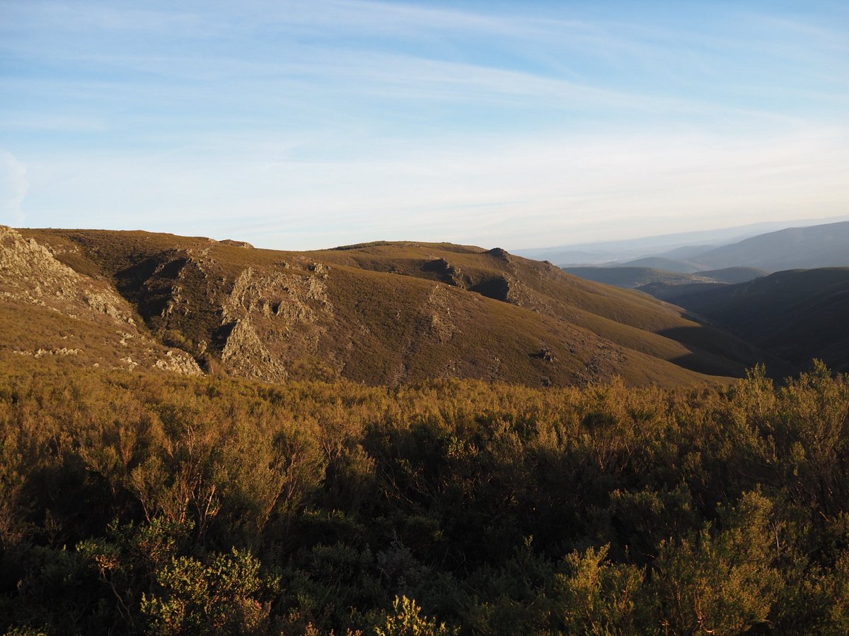 Jose Ruiz tweet media