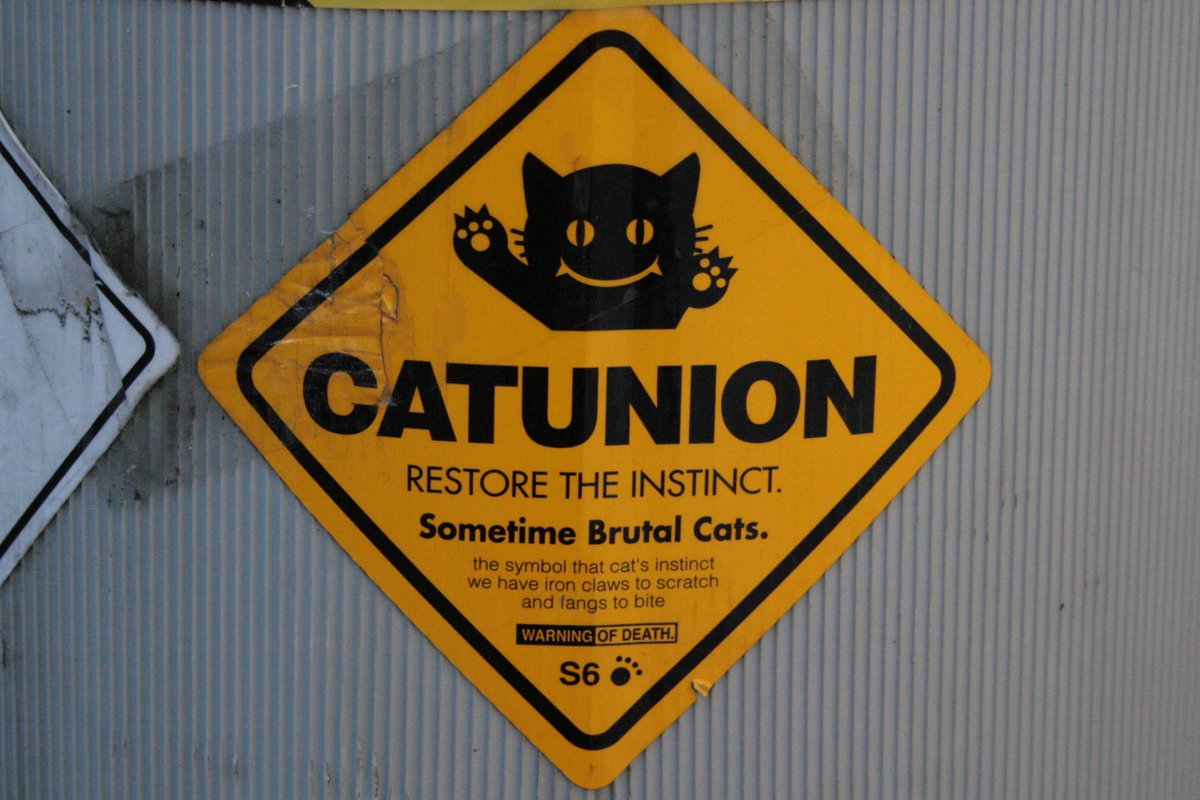 Tokyo Metropolis tweet media