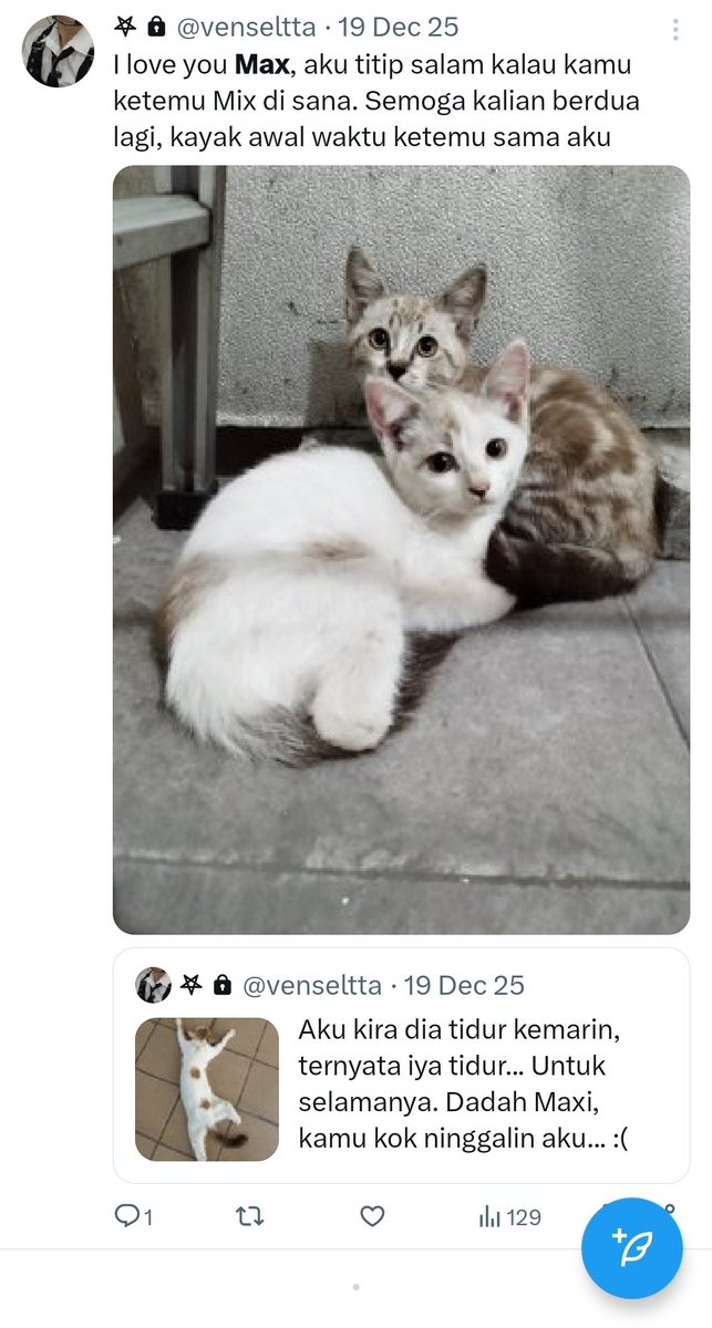 jyuenho's tweet photo. @withaseulc @wooyoungjz Juga aku gak pernah peduli soal RL mu itu.

( Terutama kamu bawa kesedihanku karena kucingku yang meninggal Maxi. Kamu kira aku drama nangisin kucing? Katanya cat lover. Waktu Maxi meninggal aku inget kakak ngehibur aku. ) https://t.co/OCt0lp06Gq