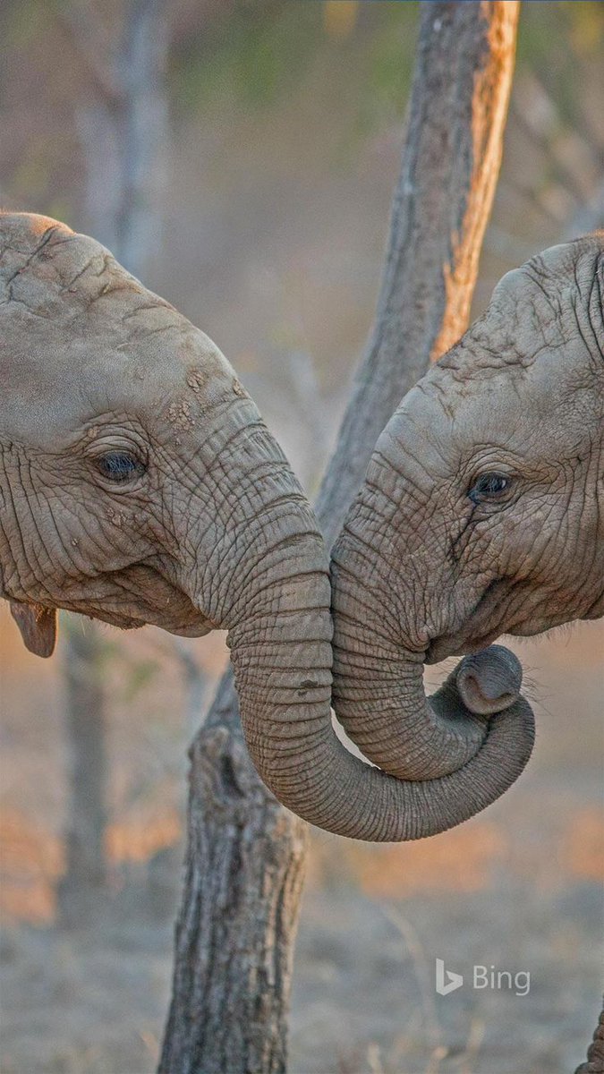 vivaneil (@vivaneil1234) on Twitter photo 