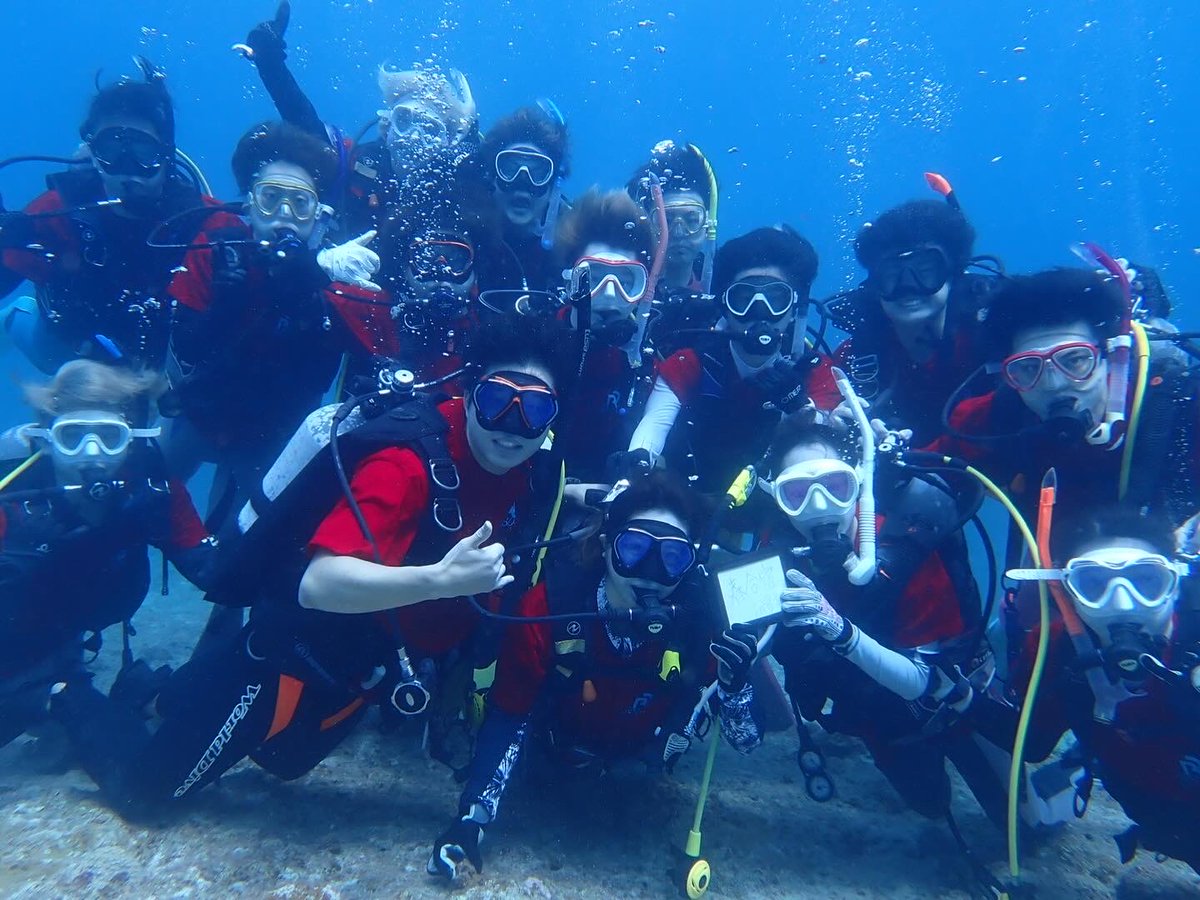 Risshodiver's tweet photo. 2月26日から3月3日、宮古島にて春合宿を行いました！イルカの群れを見たり、ウミガメと一緒に泳いだり、沈没船や洞窟を探検したりと、みんなで楽しむことが出来ました👍
四年生の皆さん、御卒業おめでとう御座います！新しい場所でのご活躍を、部員一同応援しています！先輩方、大好きです！ https://t.co/6GLzBgkVuA