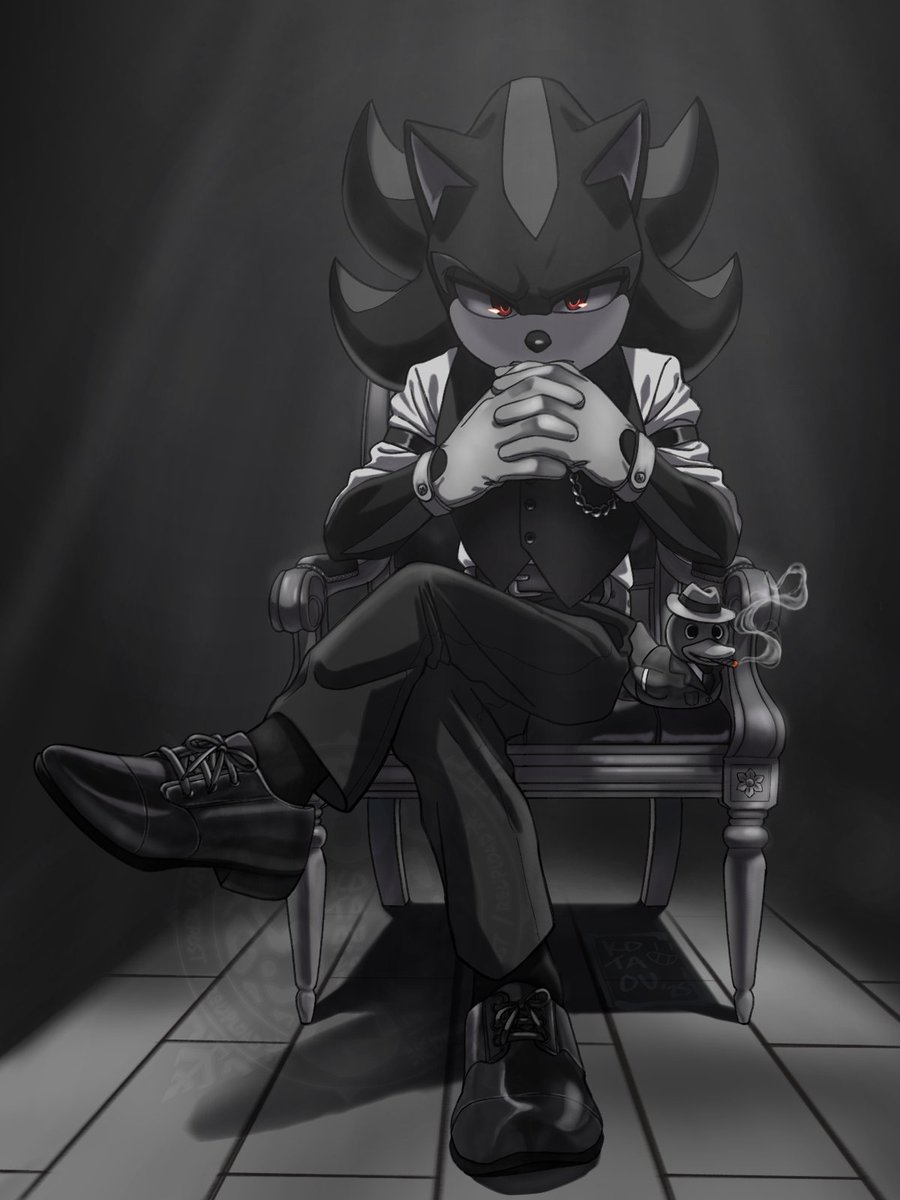 kota ❄️🐾 tweet media