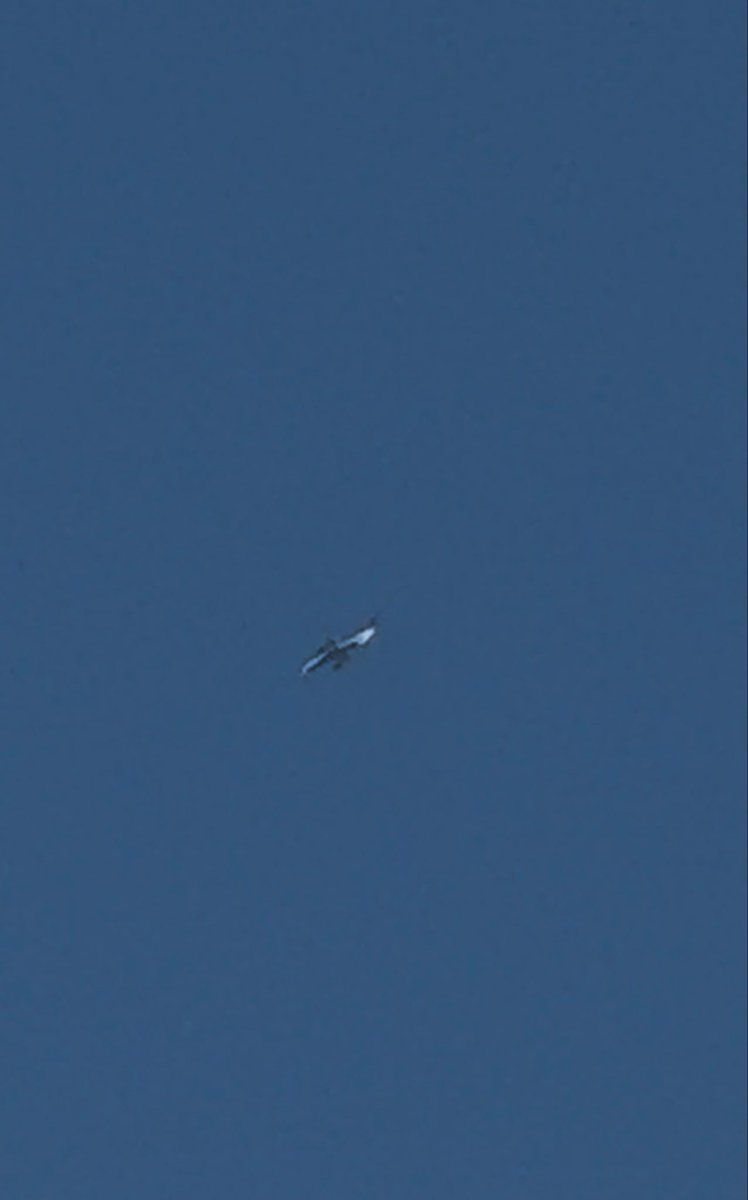 Stephanie tweet media