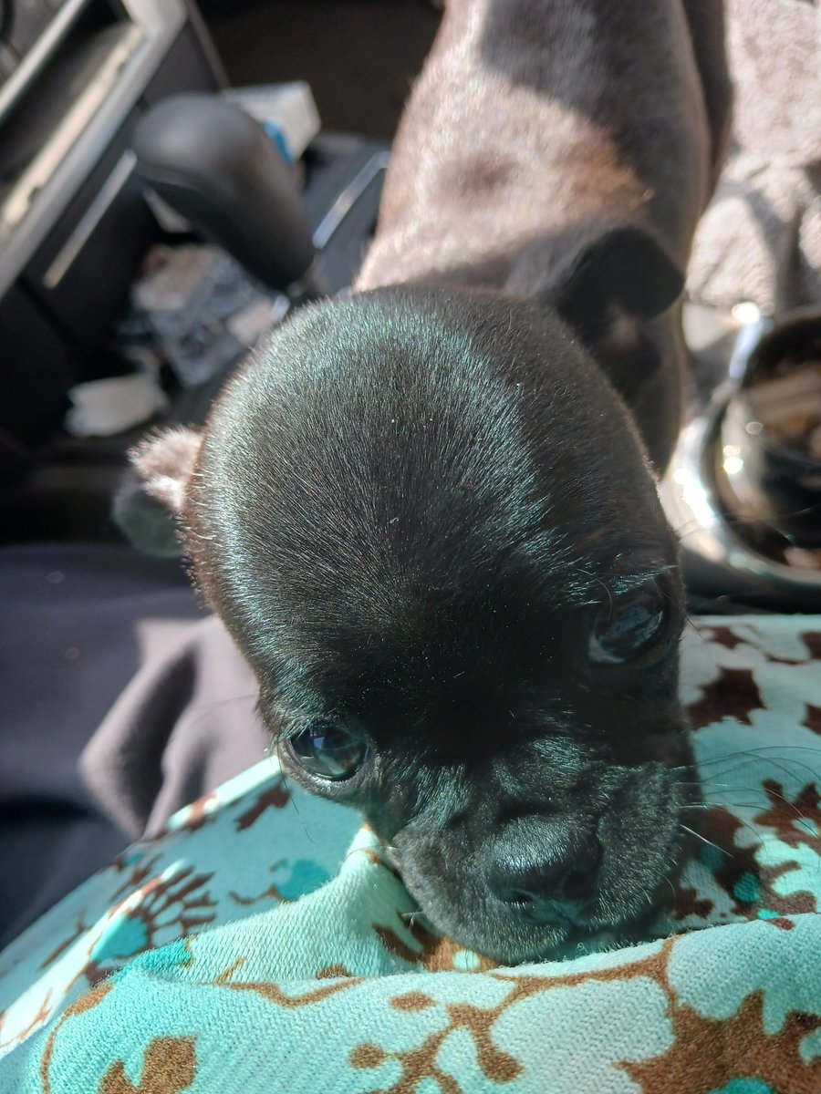 Tracydiosyncratic❄🌈🌊 tweet media