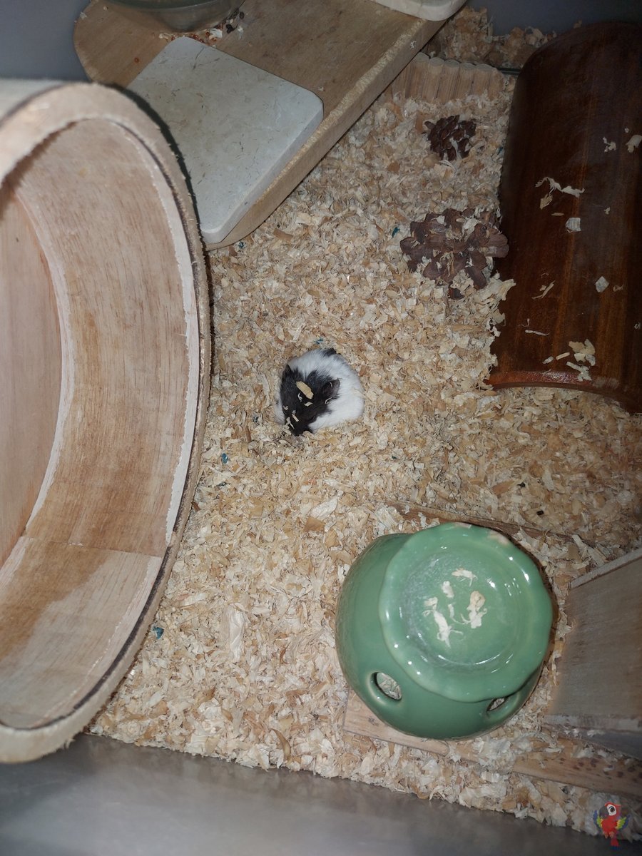 UNNES MENFESS🍌 tweet media