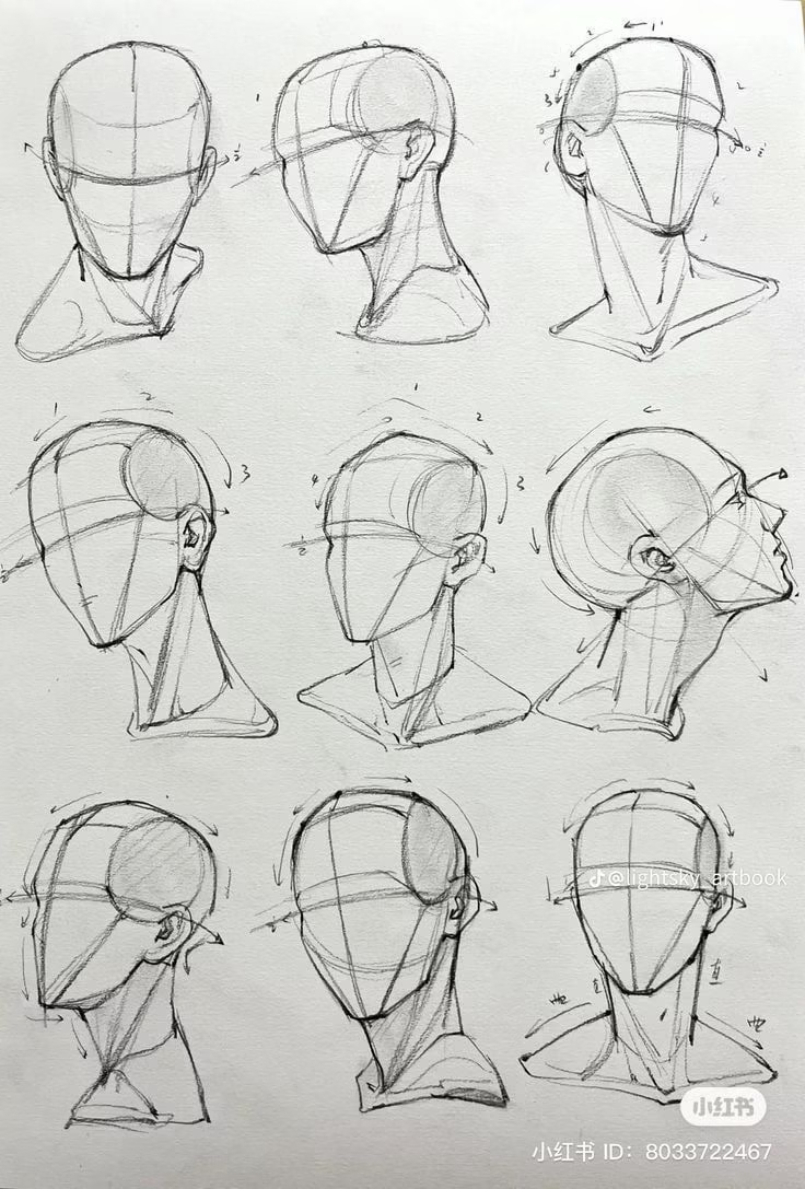 Head Rotation Draw how to draw head rotation using simple construction lines