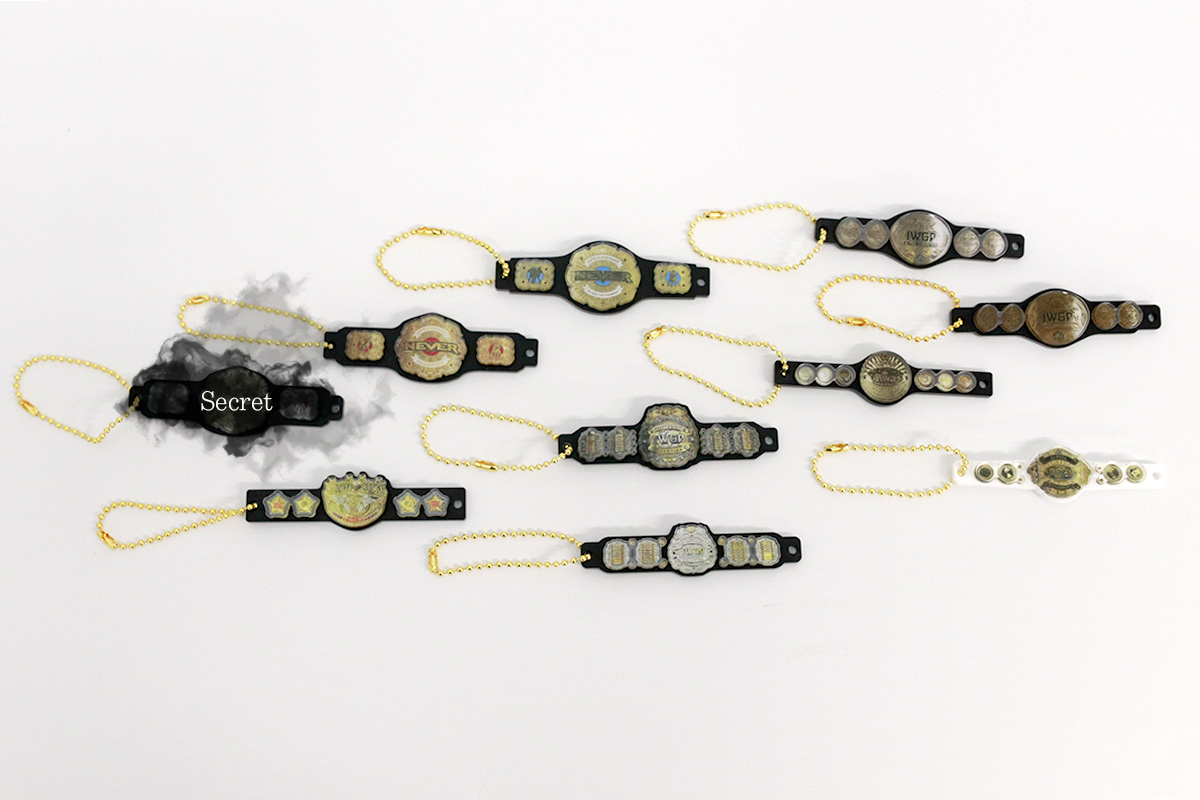 3.6大田区大会から発売！ 新日本プロレスのベルト10種を収録！ バッグ