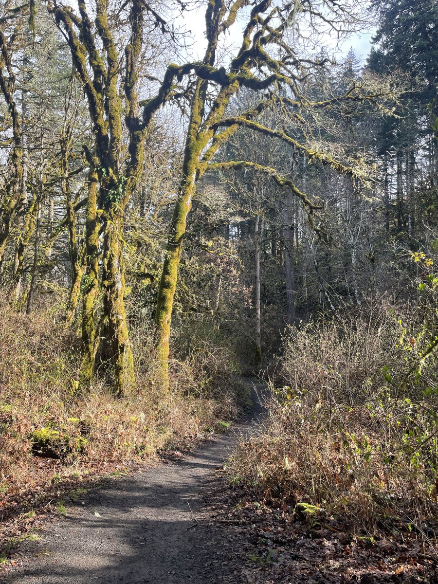 Magdalena🌲 tweet media