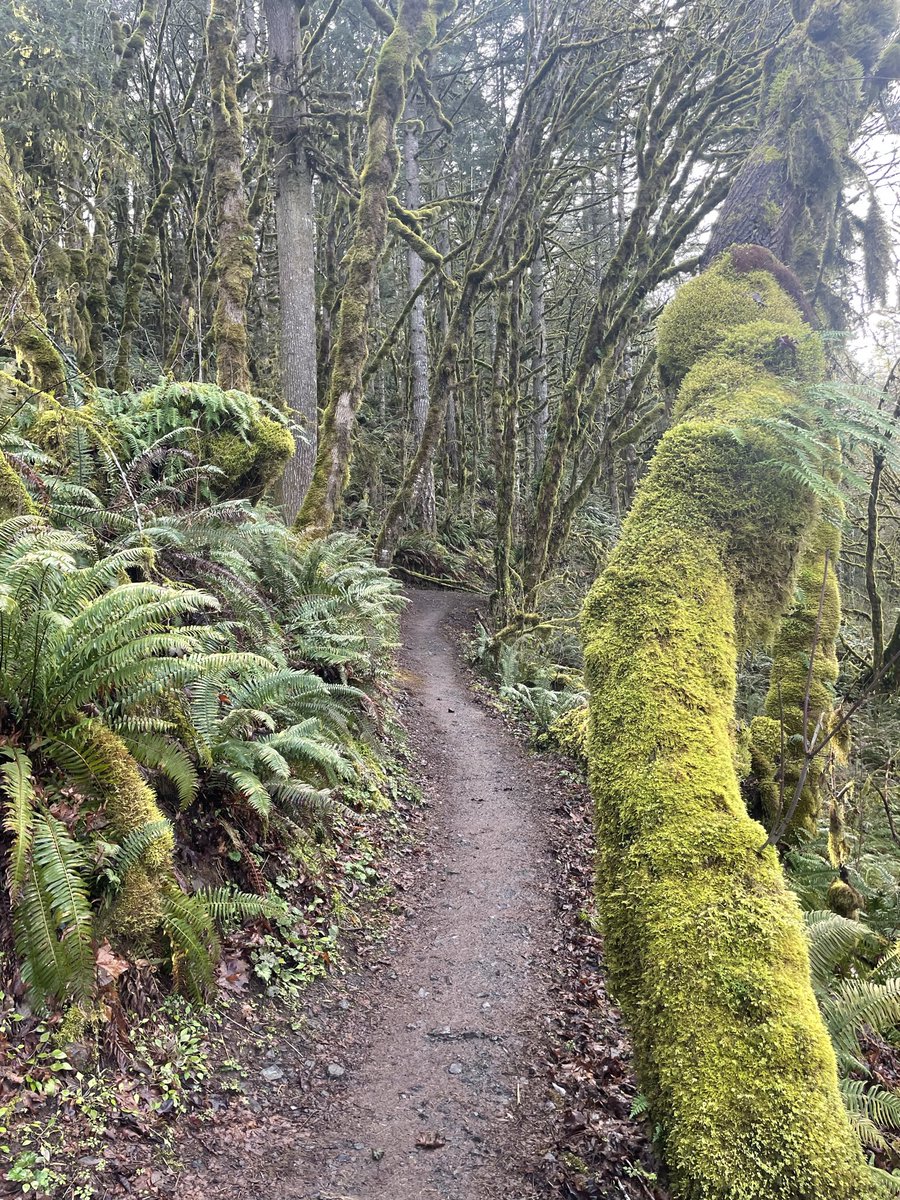 Magdalena🌲 tweet media