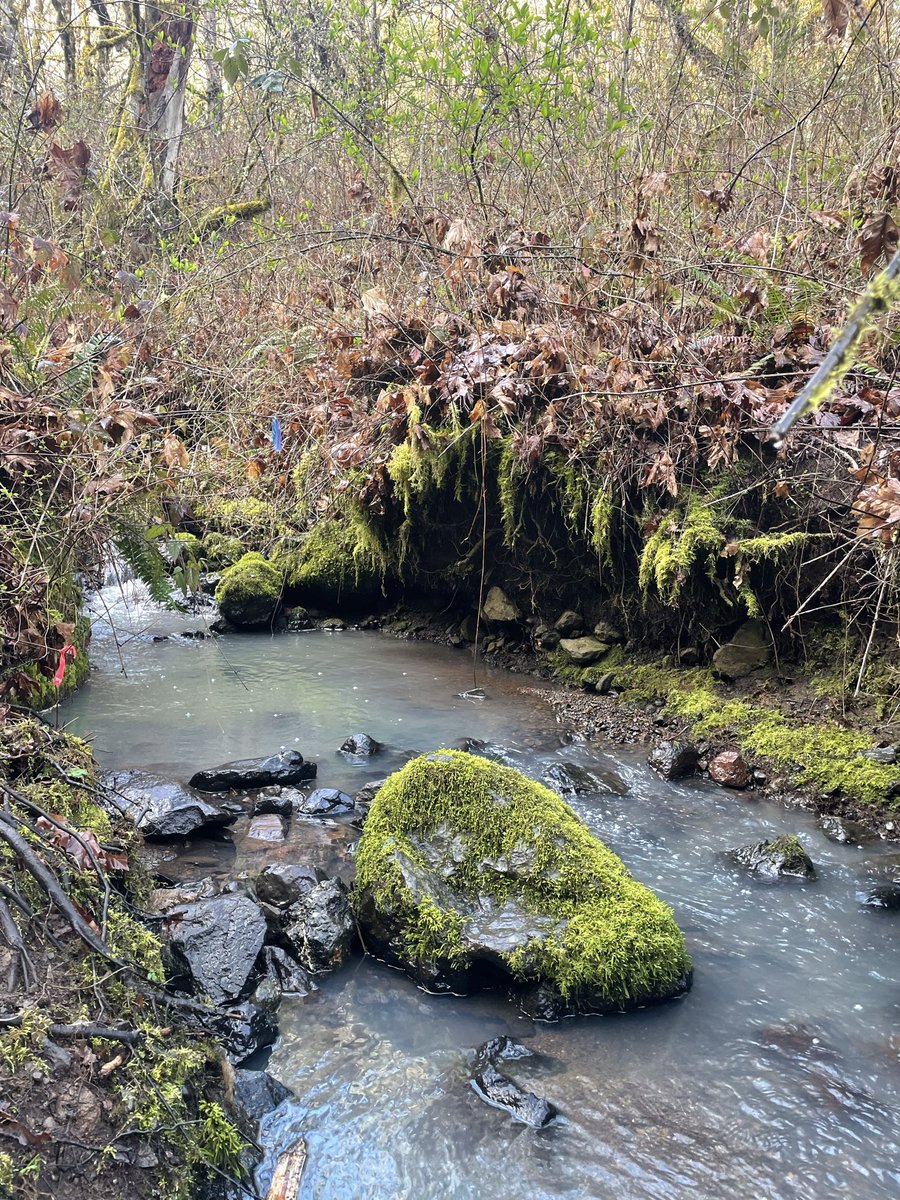 Magdalena🌲 tweet media