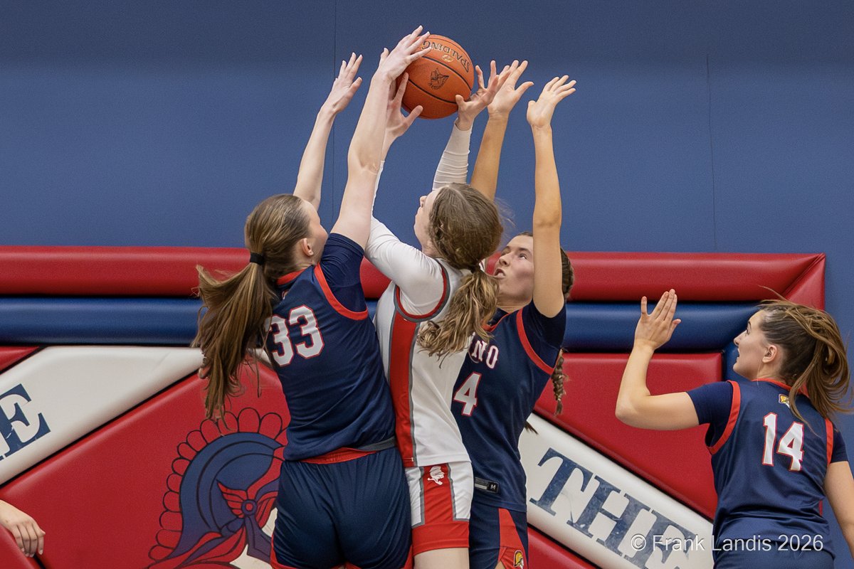 Frank Landis tweet media