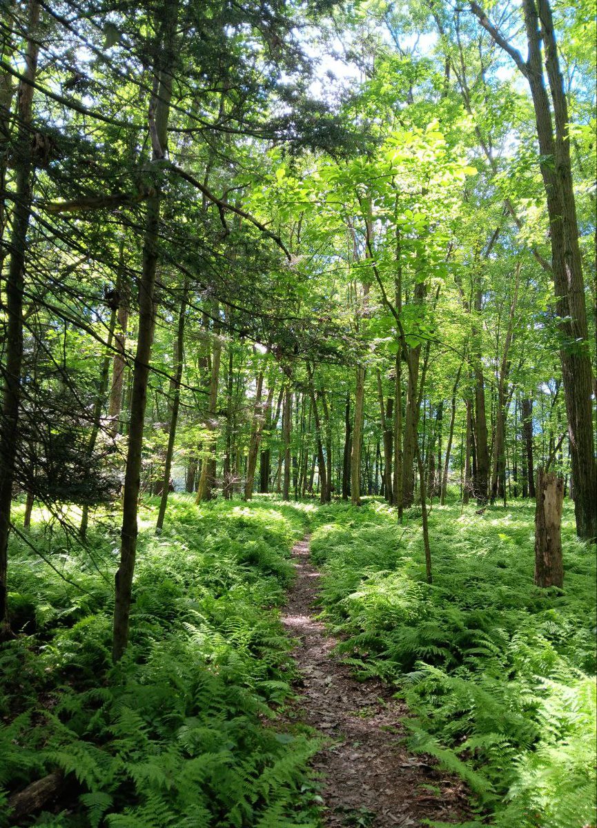 123 (@xetra_a) on Twitter photo 