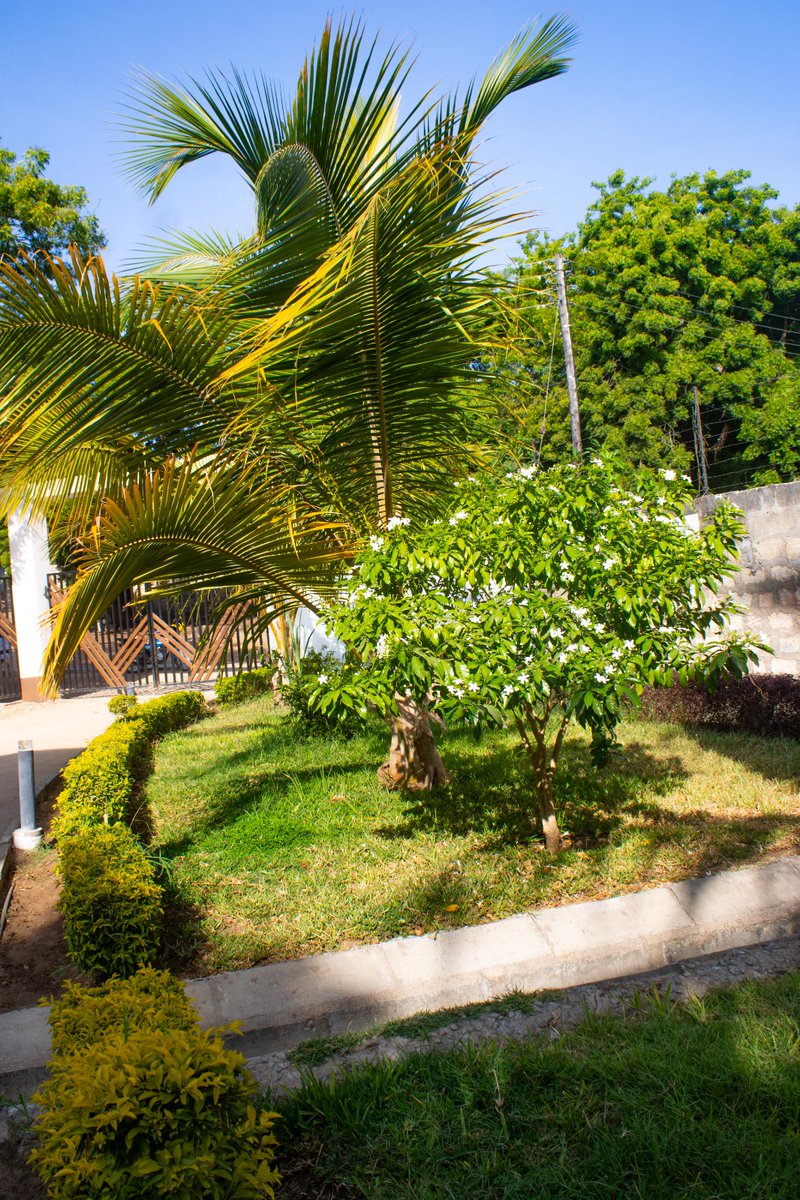 Coast_Dev_Authority tweet media